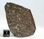 Leuke L3 Groot stuk meteoriet Noordwest-Afrika 15593- 28.7 g