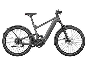 Riese & Müller Delite GT Vario - Kiox Display - Fietstassenh beschikbaar voor biedingen