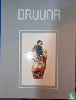 Druuna - 1990, Boeken, Stripboeken, Zo goed als nieuw, Eén stripboek, Verzenden