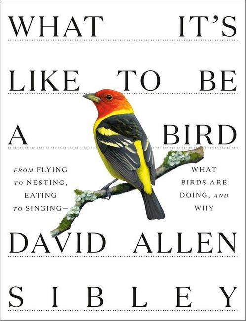 9780307957894 What Its Like To be a Bird, Boeken, Studieboeken en Cursussen, Nieuw, Verzenden