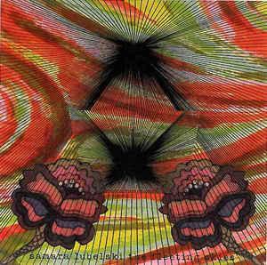 cd - Samara Lubelski - The Fleeting Skies, Cd's en Dvd's, Cd's | Overige Cd's, Zo goed als nieuw, Verzenden