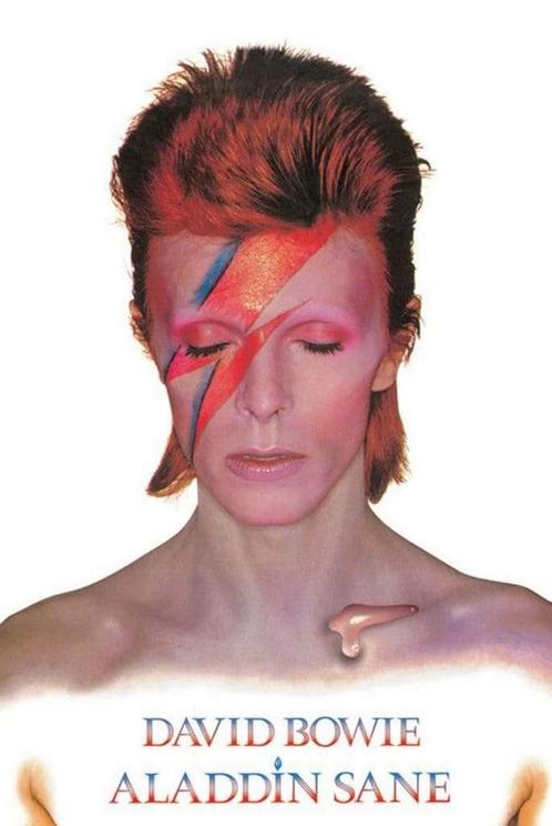 Poster David Bowie Aladdin Sane 61x91,5cm, Verzamelen, Posters, Nieuw, A1 t/m A3, Verzenden