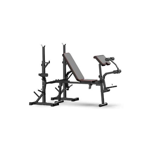 Verstelbare Multifunctionele Halterbank voor Krachttraining, Sport en Fitness, Fitnessapparatuur, Krachtstation, Nieuw, Metaal