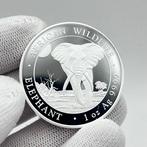 Somalië. 100 Shilling 2025 Wildlife Elephant Silver Coin