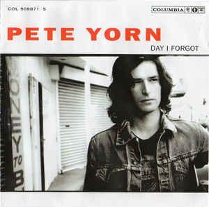 cd - Pete Yorn - Day I Forgot, Cd's en Dvd's, Cd's | Overige Cd's, Zo goed als nieuw, Verzenden