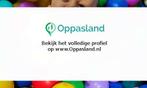 Katarzyna zoekt een oppas in Heerde voor 1 kind op donder..., Sieraden, Tassen en Uiterlijk, Nieuw