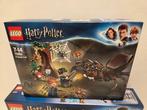 Lego Set - Harry Potter - Aragogs Schuilplaats 75950, Kinderen en Baby's, Speelgoed | Duplo en Lego, Nieuw