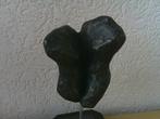 Bellas Artes - Susanne Den Hoed - sculptuur, TORSO MAN &