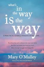 Whats In The Way Is The Way 9781622035243 Mary OMalley, Verzenden, Gelezen, Mary OMalley