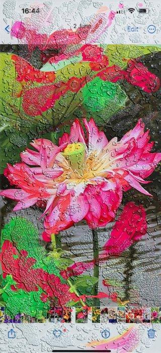 Marc Quinn (1964) - Naturenow. Thanks to the Insects (Lotus), Antiek en Kunst, Kunst | Designobjecten