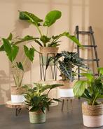 2dekans | Mica Decorations - Pia Boomstam Bijzettafel -, Huis en Inrichting, Tafels | Bijzettafels, Ophalen of Verzenden, Zo goed als nieuw