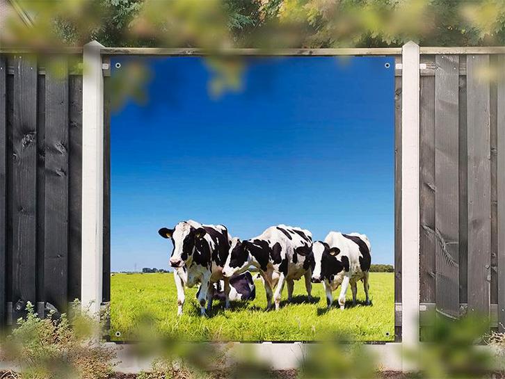 NR 1417: Tuinposter zwart-witte koeien in wei 180x180cm, Tuin en Terras, Tuinwanddecoratie, Nieuw