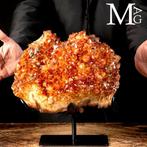 Exclusieve Citrine Quartz Druzy - Madeira Geode -