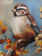 Tomasz Bednarski (1965) - sparrow