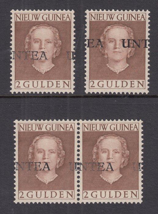 Nederlands-Nieuw-Guinea 1962 - Verschoven UNTEA opdrukken -, Postzegels en Munten, Postzegels | Nederland