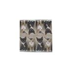 Esschert Design - Lunch servet - Kittens, Verzenden, Nieuw