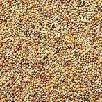 Parkietenzaad - Parkietenzaad  2,5 kg - Versele laga, Verzenden, Nieuw