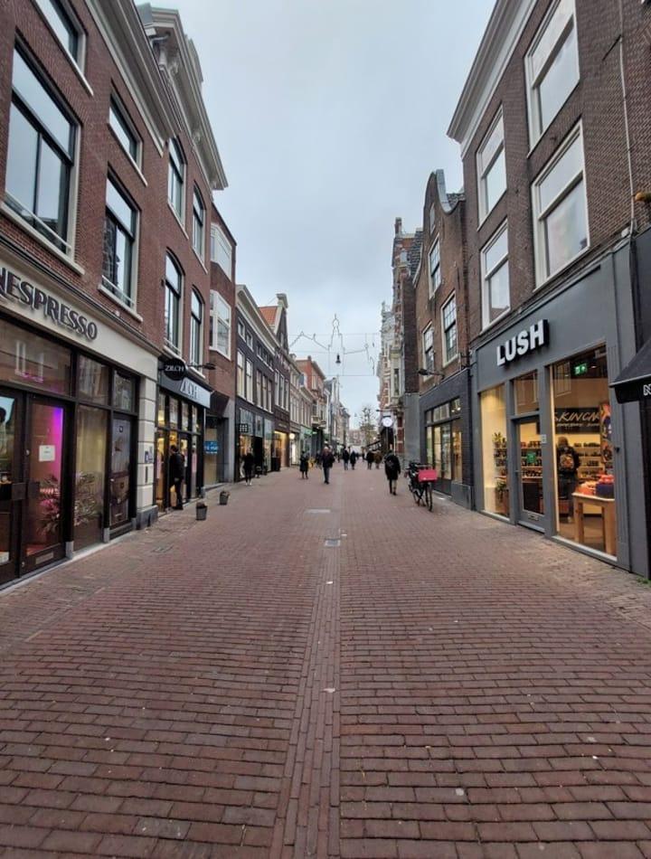 Leuke huurwoning Brinkmannpassage, Haarlem, Huizen en Kamers, Huizen te huur, Direct bij eigenaar, A, Noord-Holland, Tussenwoning