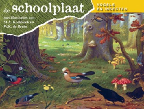 De Schoolplaat / Vogels en Insecten 9789075531893, Boeken, Hobby en Vrije tijd, Gelezen, Verzenden