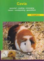 De cavia / Over Dieren 9789058210098, Boeken, Verzenden, Gelezen