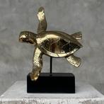 sculptuur, NO RESERVE PRICE - Turtle on a Stand Bronze
