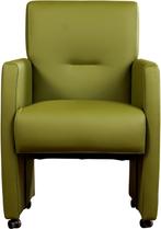 Groene leren moderne eetkamerfauteuil - Toledo Leer Apple Gr, Huis en Inrichting, Stoelen, Nieuw, Leer, Ophalen of Verzenden, Landelijk