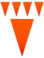 Vlaggenlijn Oranje 10 meter, Verzenden, Nieuw, Feestartikel