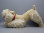 Steiff - Teddybeer Snobby the poodle - 1960-1970 - Duitsland