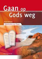Gaan op Gods weg / Kringserie 9789033800542 Tanno Verboom, Verzenden, Gelezen, Tanno Verboom