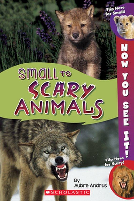 Now You See It! Small to Scary Animals 9780545889605, Boeken, Taal | Engels, Gelezen, Verzenden