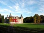 Gezellig vakantiehuis bij kasteel natuur-rust is hier troef, 4 of meer slaapkamers, Landelijk, Internet, In bos