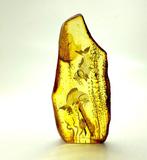 Uitgeholde natuurlijke hele steen Baltisch amber 7 cm 13,1 g, Antiek en Kunst