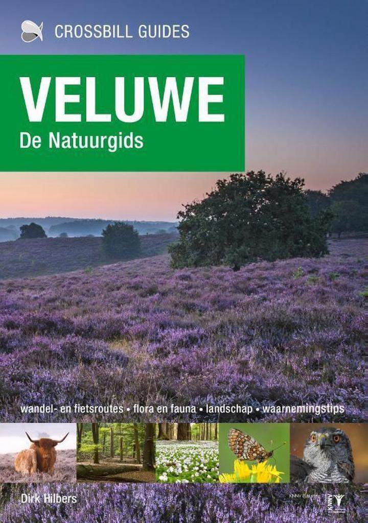 Veluwe / Crossbill guides / 24 9789491648113 Dirk Hilbers, Boeken, Hobby en Vrije tijd, Zo goed als nieuw, Verzenden