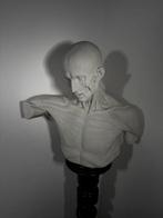 sculptuur, Superbo busto in gesso di un uomo scuoiato - 68