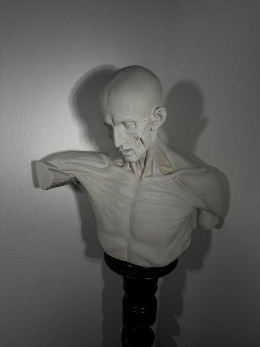 sculptuur, Superbo busto in gesso di un uomo scuoiato - 68, Antiek en Kunst, Antiek | Keramiek en Aardewerk