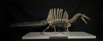 Spinosaurus Taxidermie volledige montage - Replica -Complete