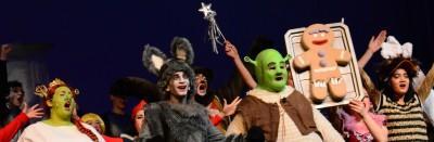 Shrek De Musical Tickets, Tickets en Kaartjes, Evenementen en Festivals