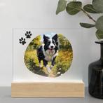 3D Led Lamp - Border Collie 1, Verzenden, Nieuw