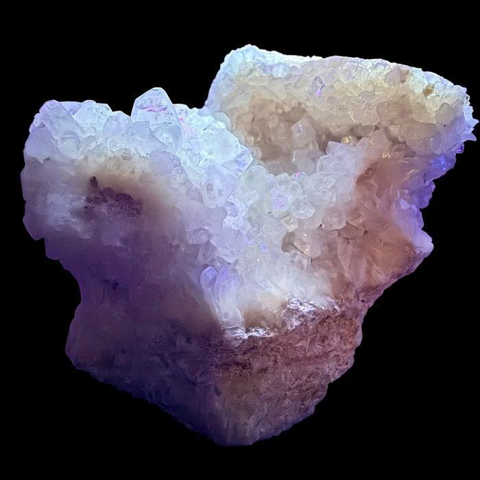 Colemaniet schitterend, perfect, fluorescerend in geode -, Verzamelen, Mineralen en Fossielen