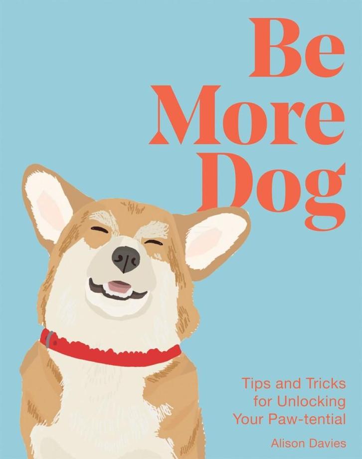 Be more dog 9781837832651 Alison Davies, Boeken, Taal | Engels, Zo goed als nieuw, Verzenden