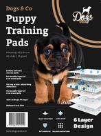 Puppypads 60x60cm 40 stuks voordeelverpakking (Hond), Dieren en Toebehoren, Ophalen of Verzenden, Nieuw