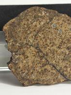 NWA17845 EUCRITE-BR - 10.72 g - (1)