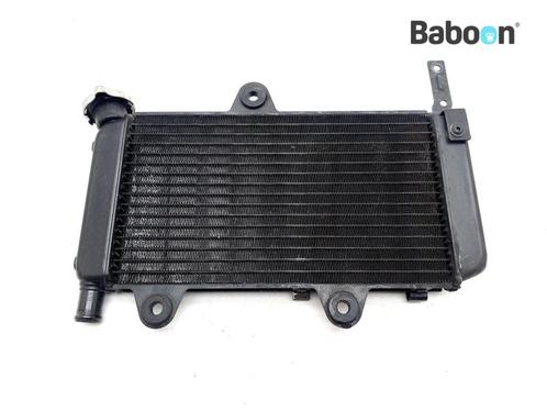 Radiateur Yamaha XT 660 X 2004-2014 (XT660X), Motoren, Onderdelen | Yamaha, Gebruikt, Verzenden