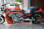 Harley-Davidson - Dragster V-Rod Destroyer - 1300 cc - 2007, Motoren