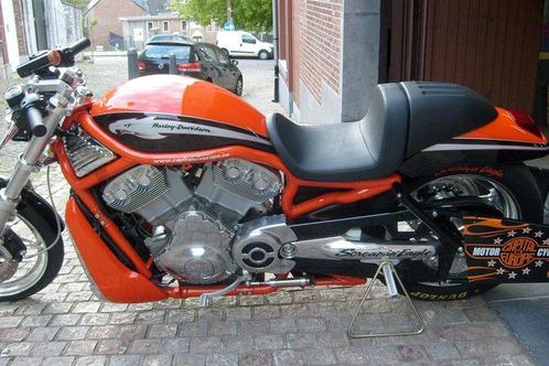 Harley-Davidson - Dragster V-Rod Destroyer - 1300 cc - 2007, Motoren, Motoren | Oldtimers