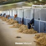 Grootste assortiment paardenboxen | Voorraad, Dieren en Toebehoren, Stalling en Weidegang, Weidegang, 4 paarden of pony's of meer