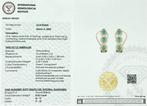 Hoepel oorbellen - 14 karaat Geel goud - 2.96ct. tw. Smaragd