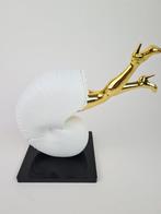 Sagrasse (1966) - Curiosity is woman, Antiek en Kunst, Kunst | Designobjecten