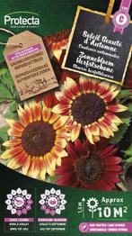 Protecta Bloemen zaden: Zonnebloem Herfstschone, Tuin en Terras, Bloembollen en Zaden, Ophalen of Verzenden