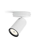 Opbouwspot Philips Pongee met Hue White Ambiance 5058131PN